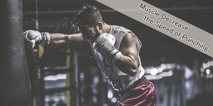 Will building muscle decrease the speed of punching?
